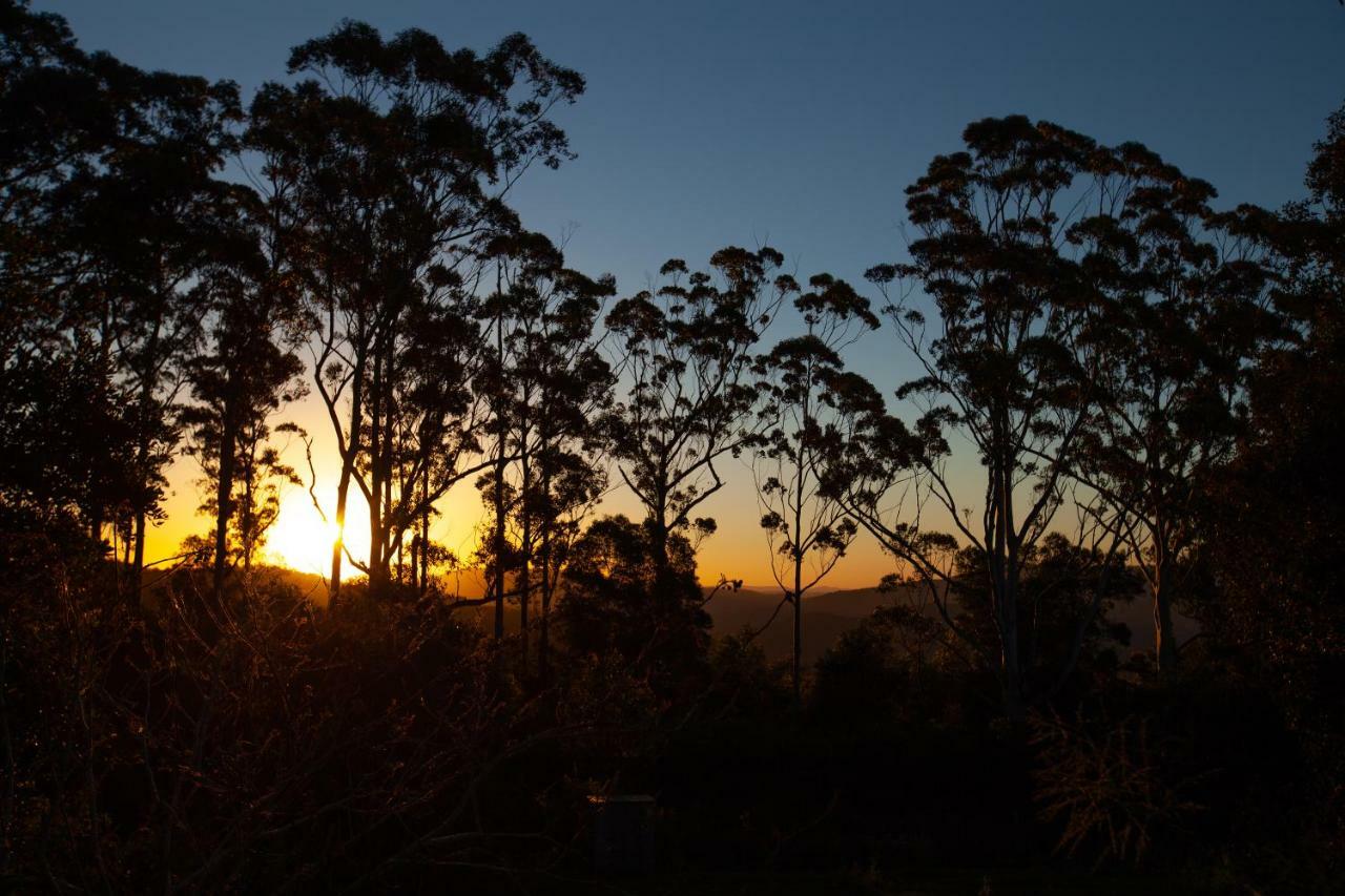 Awesome Glamping Gold Coast Hinterland Hotel Advancetown Exterior photo